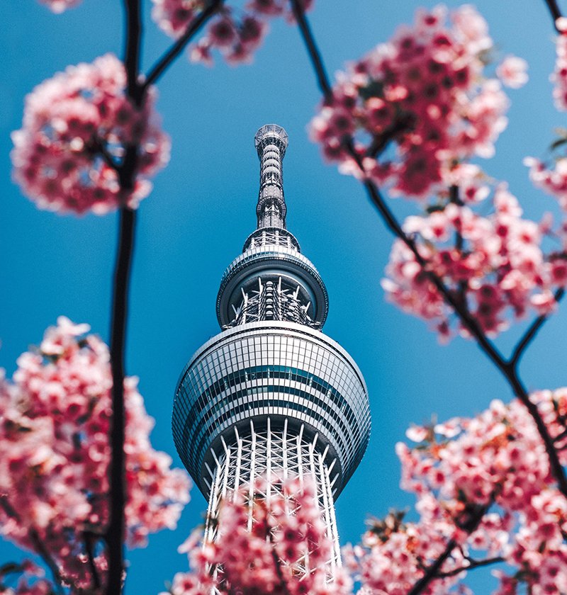 thanai-manasathit-7rvQWFxJZKE-unsplash-small